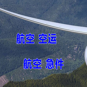 湛江机场空运快递-选东方航空和上海航空